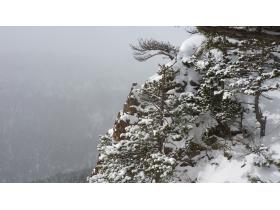 photo coins arrondis